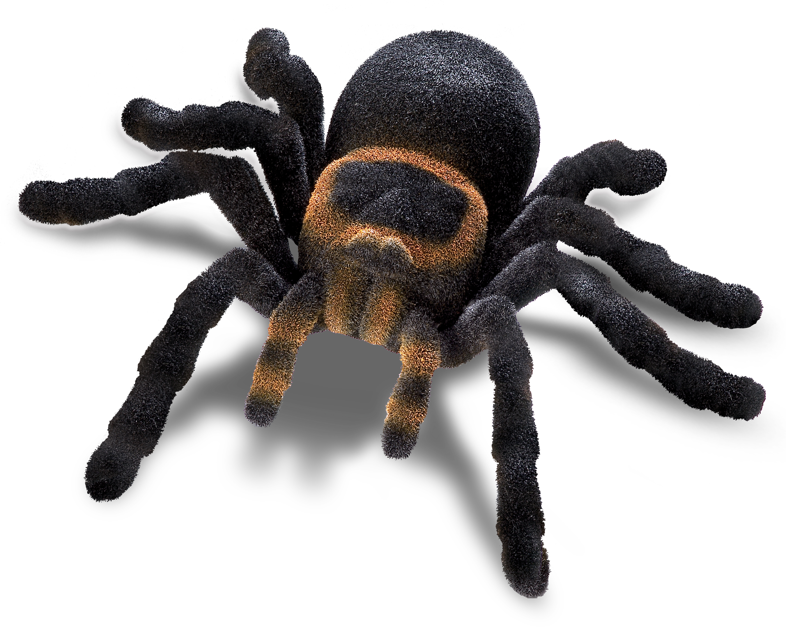 Eztec Telegeleide R/C Tarantula Spin