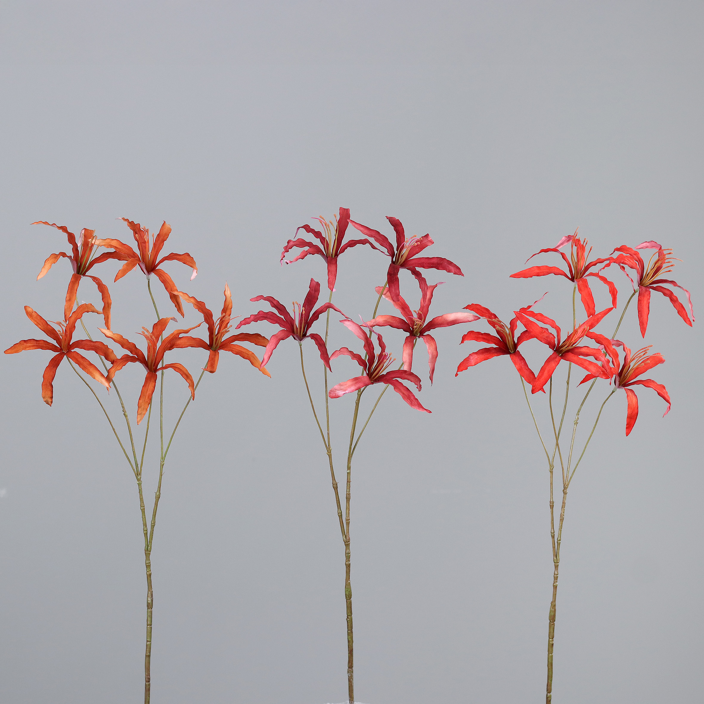 Nerine 84cm - assorti - prijs per stuk