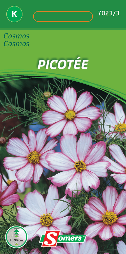 Somers Somers Cosmos Picotee