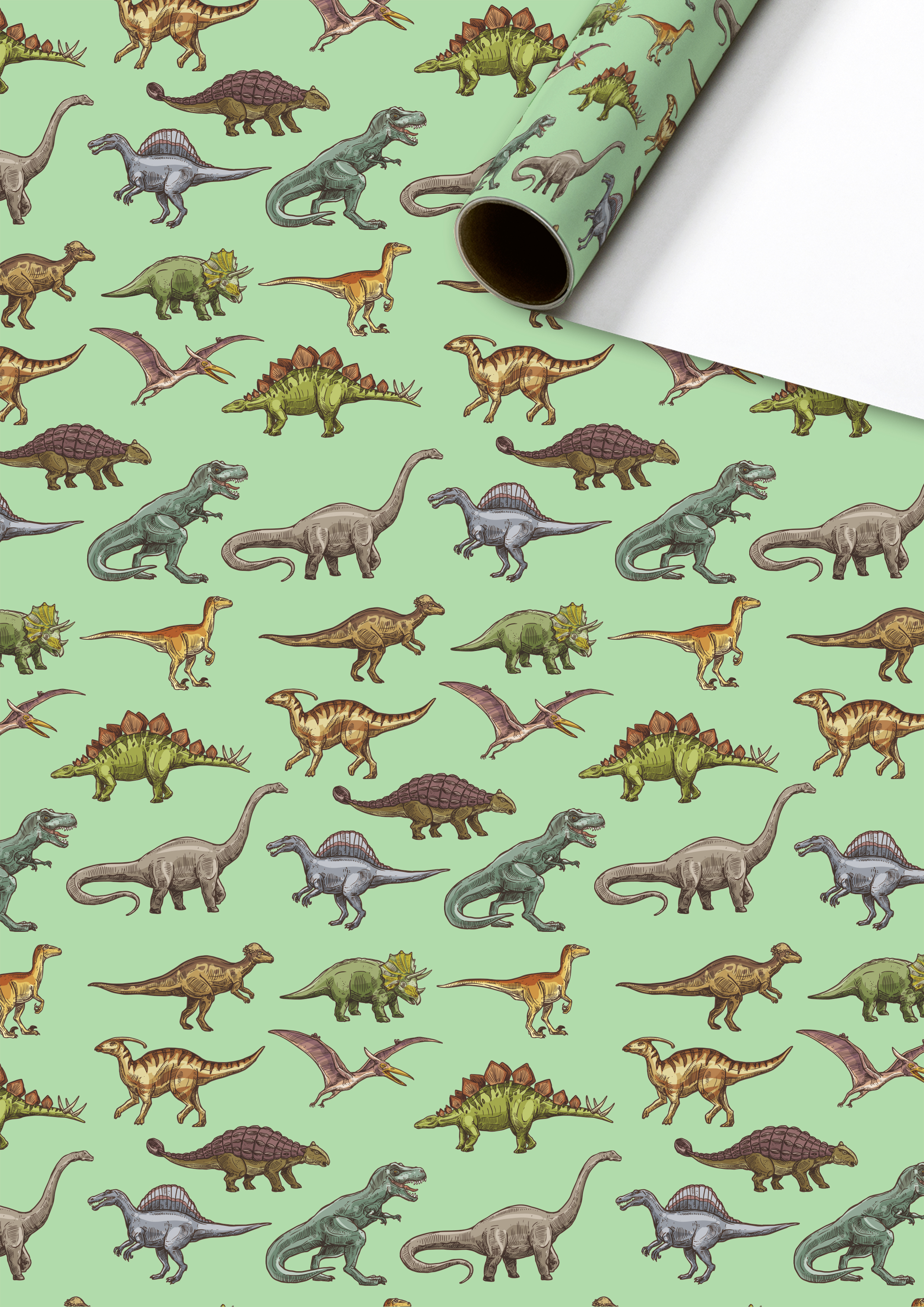 Stewo Geschenkpapier 70x200 cm Saurus