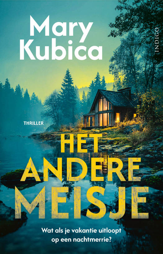 Het andere Meisje - Mary Kubica
