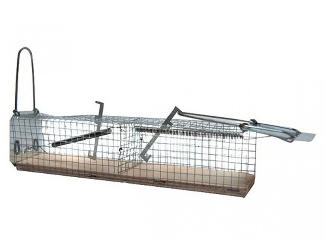 Muizenval Houten Sokkel 2 Ingangen 24x6x6 cm