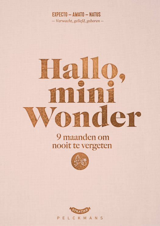 Hallo, mini Wonder - Dieter Coppens & Tom Suykens