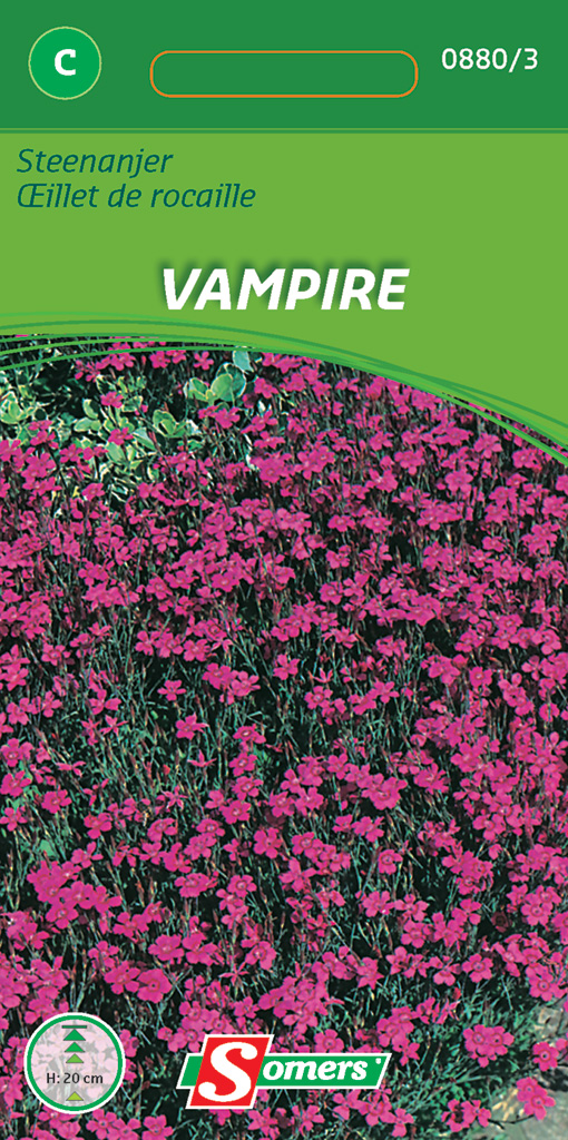 Somers Steenanjer Vampire