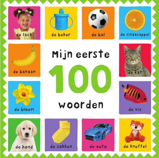 Mijn eerste 100 Woorden - Roger Priddy  2+