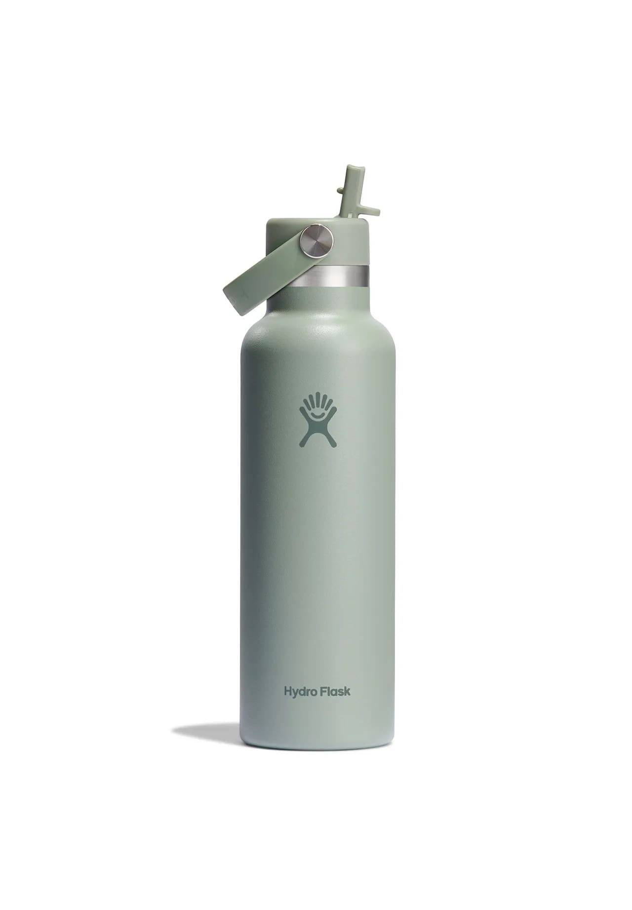 Hydro Flask Isoleerfles Standard Mouth Agave 621ml met Rietje