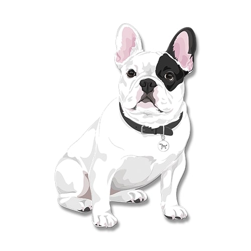 Dogdogo Buddy Magneet S French Bulldog - Masked