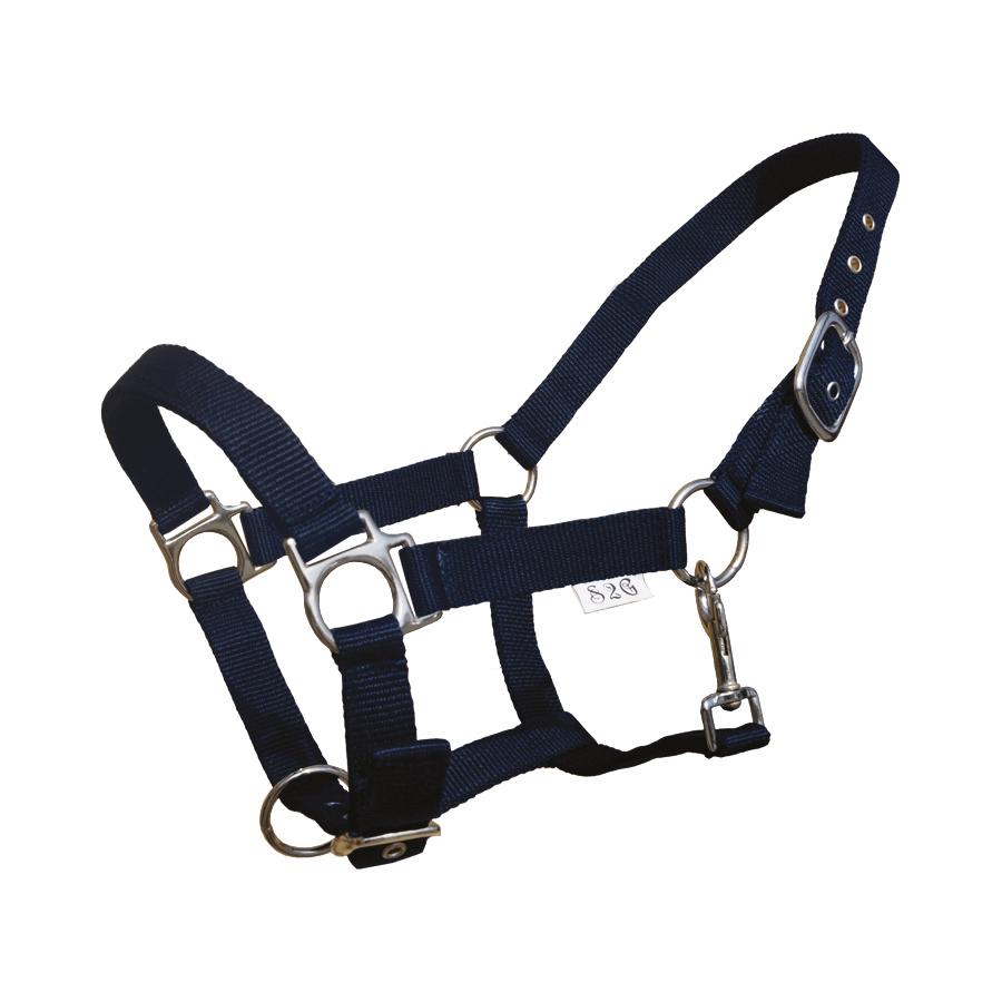 Halster Nylon Standaard met Gaatjesgesp Cob - Marineblauw