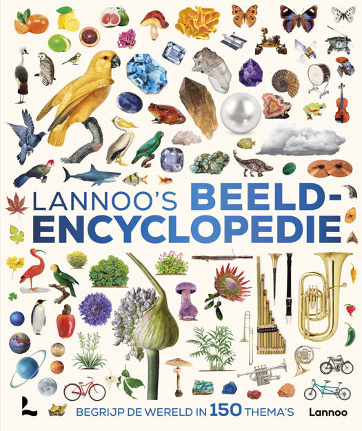 Lannoo's Beeldencyclopedie 9+