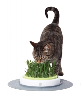 Cat It Design Senses Gras-Kit Navulling