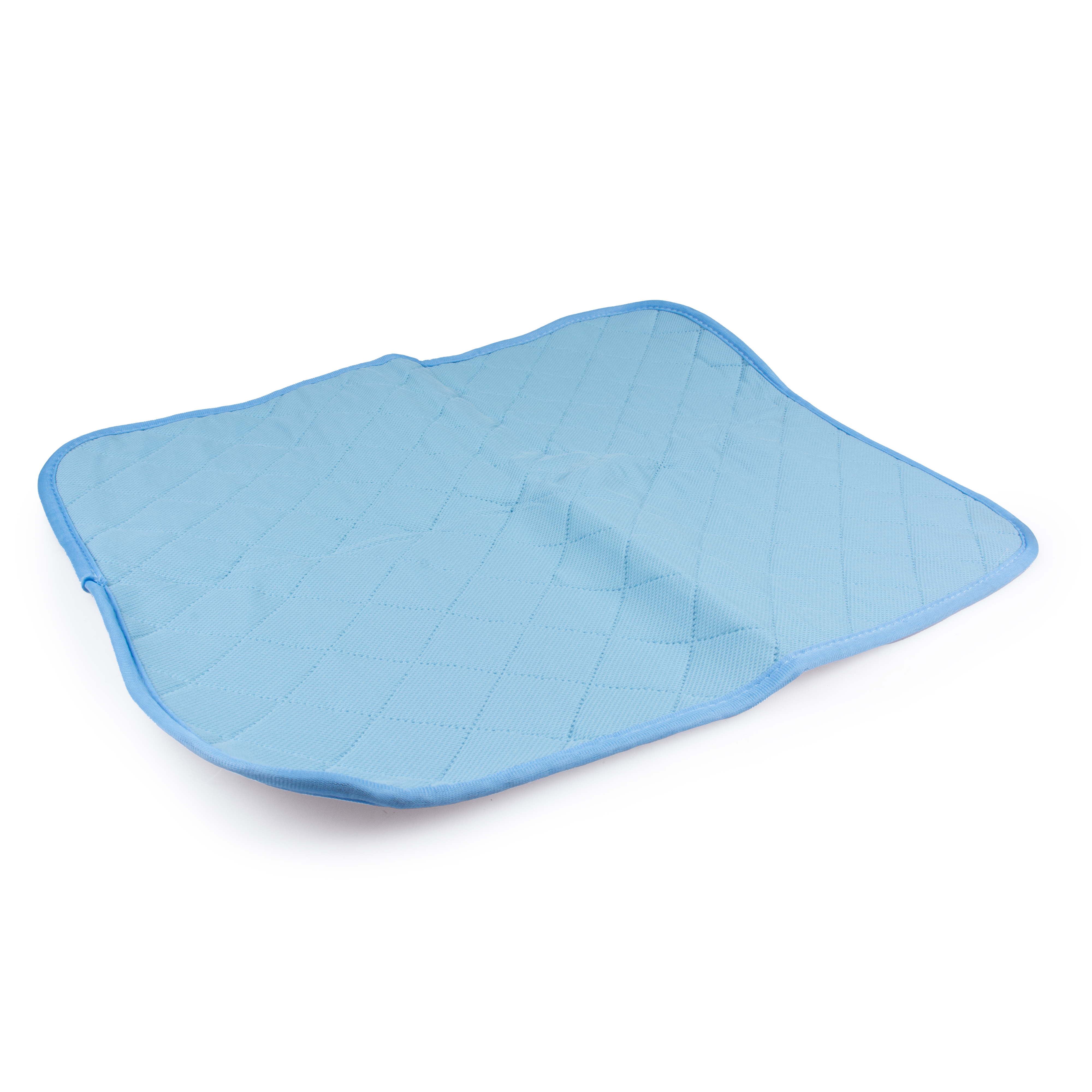 Eco Wasbare Trainigsmat Blauw 100 x 68 cm