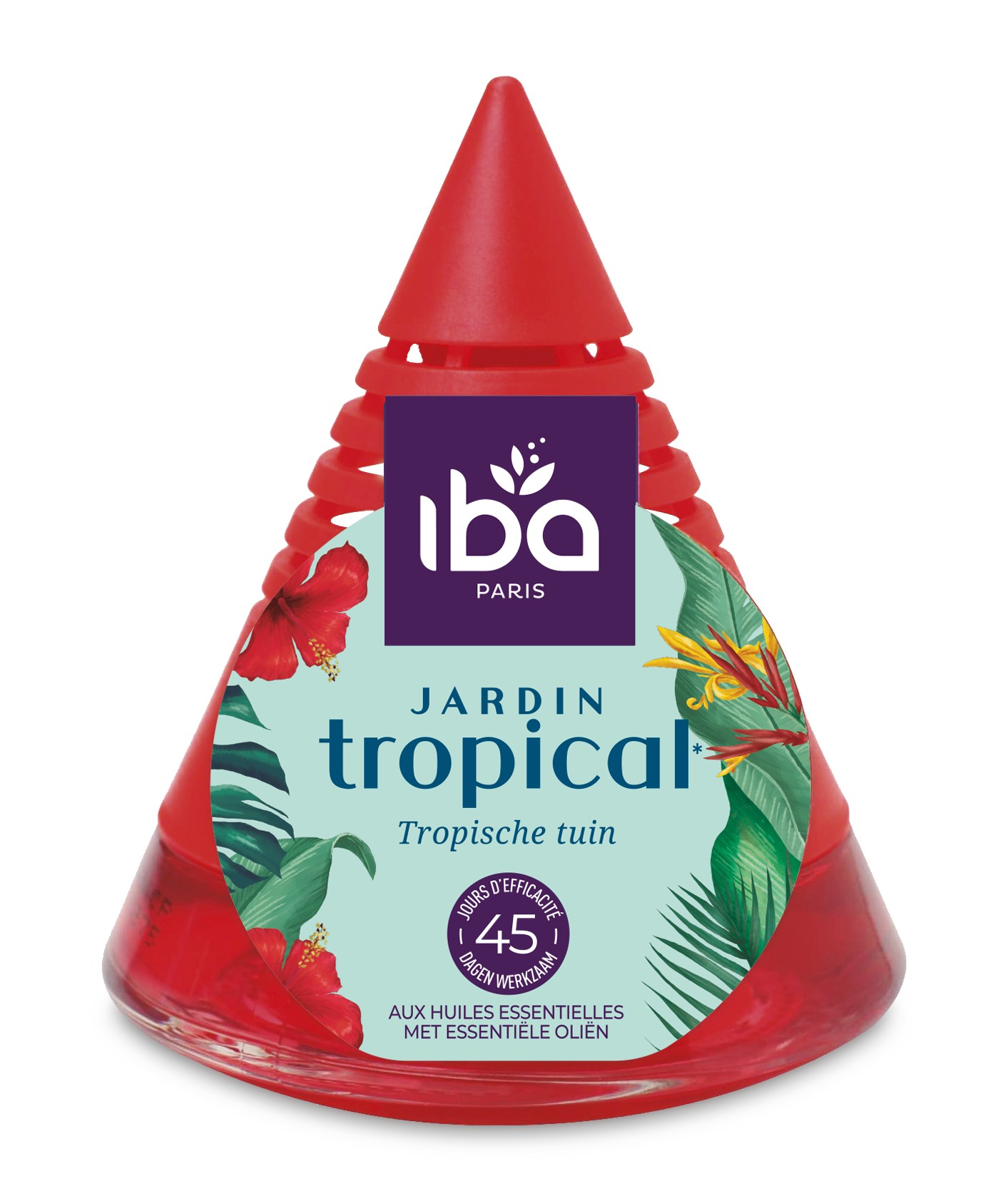 Iba Ontgeurder Piramide Tropische Tuin