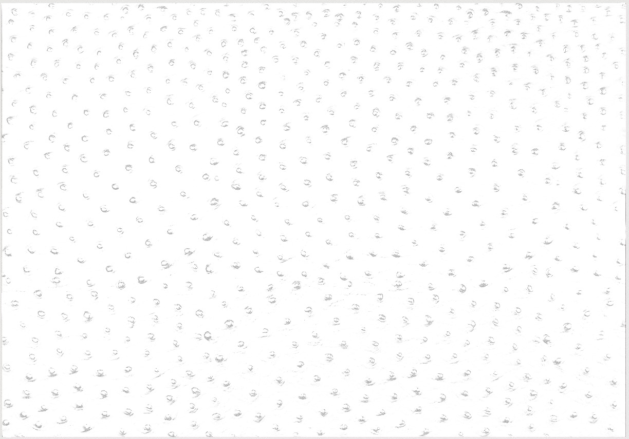 PLACEMAT LEER EMU - 33x45cm DAFF LEATHERIXX - WIT