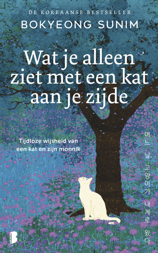 Wat je alleen ziet met een Kat aan je zijde - Bokyeong Sunim