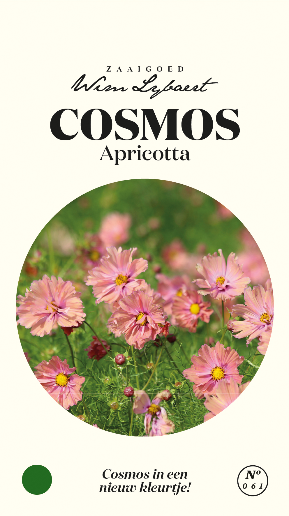 Zaaigoed Cosmos Apricotta Wim Lybaert