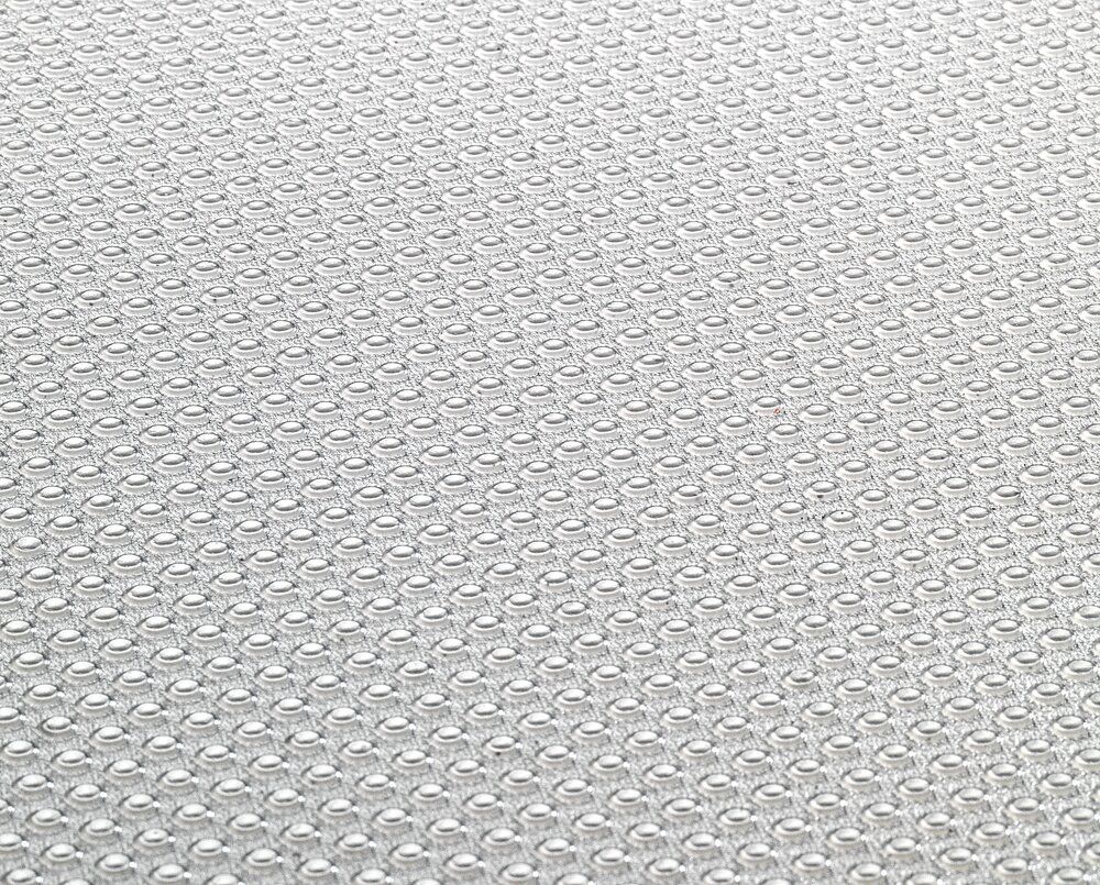 Wenko Anti-Bacteriële Mat voor Koelkast 45x29 cm set 3 stuks - Transparant