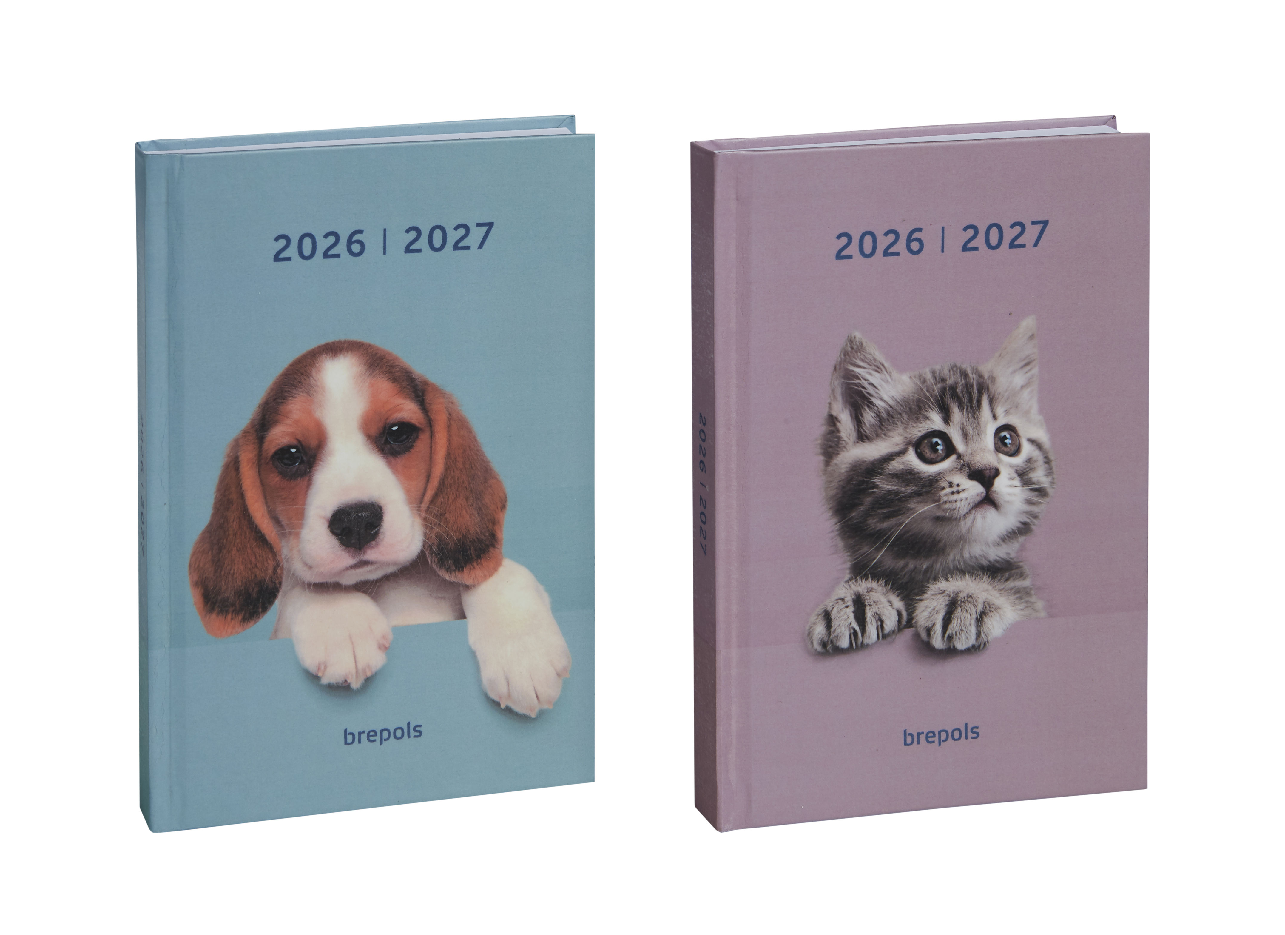Brepols Schoolagenda 2026-27 Amici 1dag/pag assorti 11.5x16.9 cm - per stuk