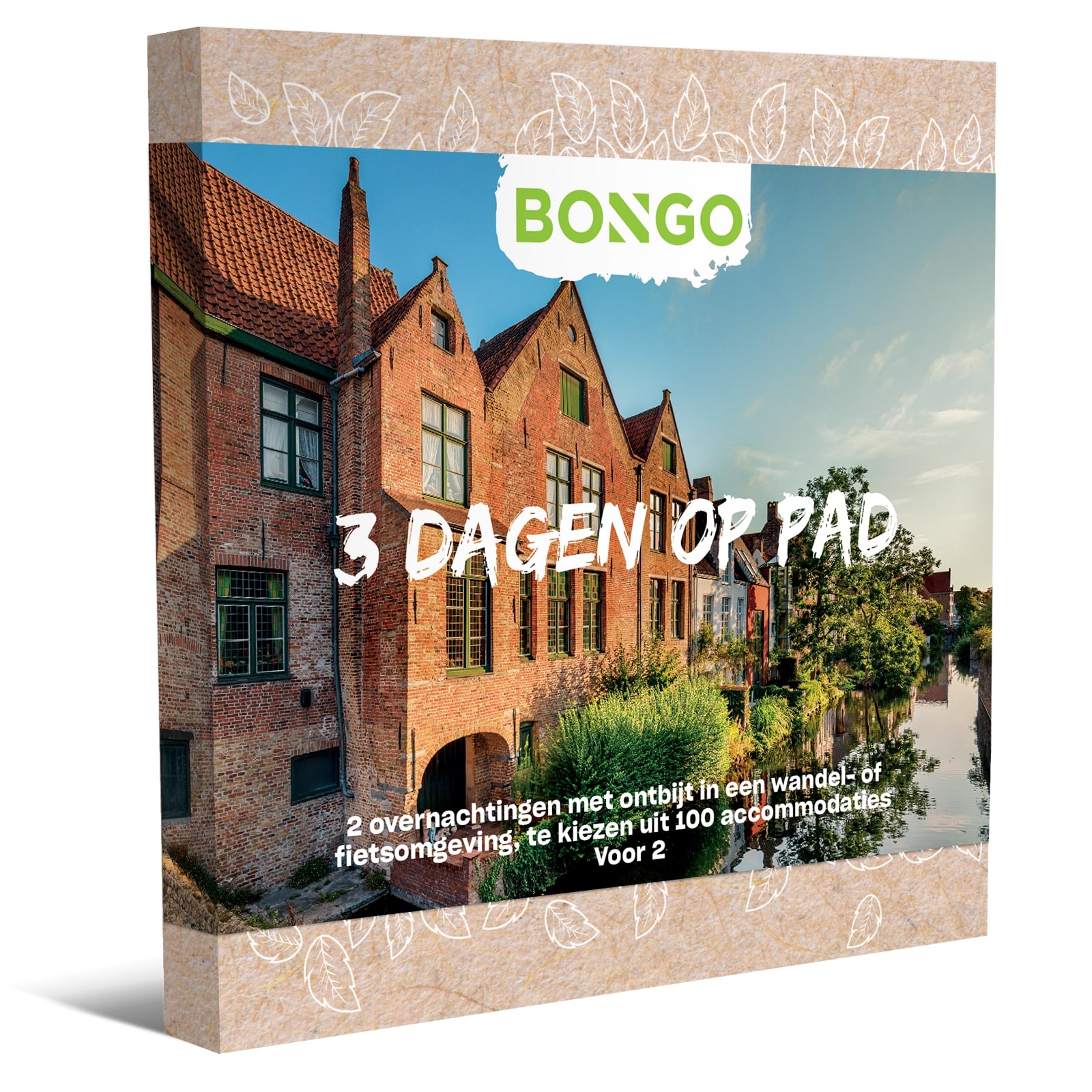 Bongo 3 Dagen Op Pad - Stays