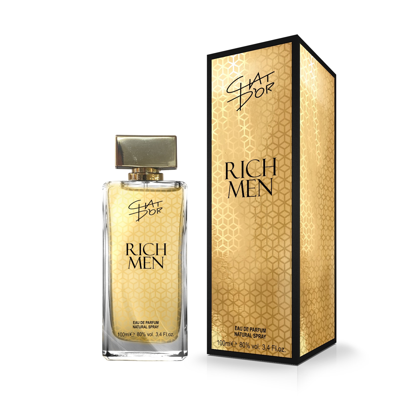 Chat D'Or Eau de Parfum - Rich 100 ml - Men