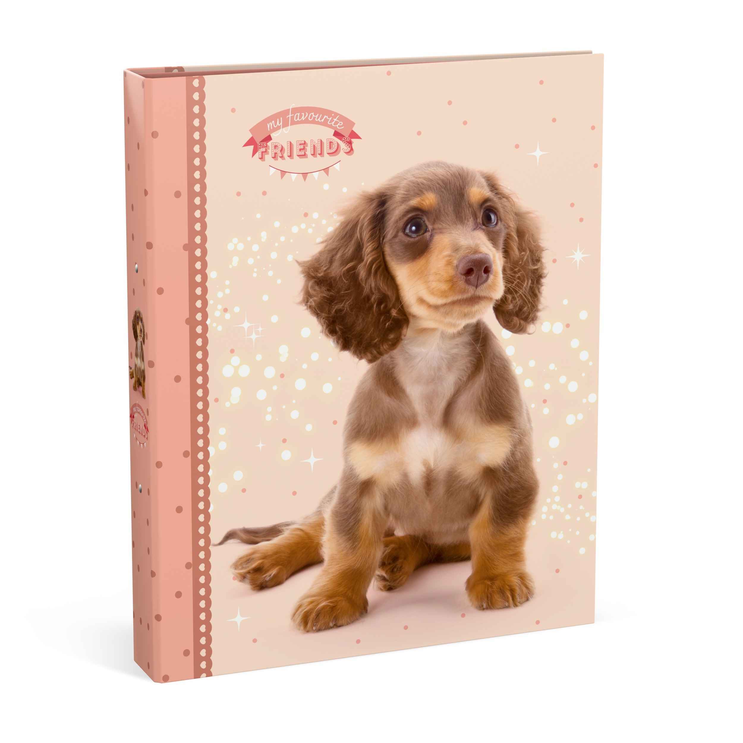 My Favourite Friends Ringmap A4 Roze Rug 4.5 cm