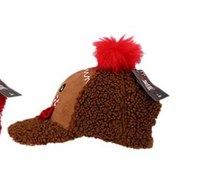 Apollo Pet Adult X-mas 3D Bruin - One Size