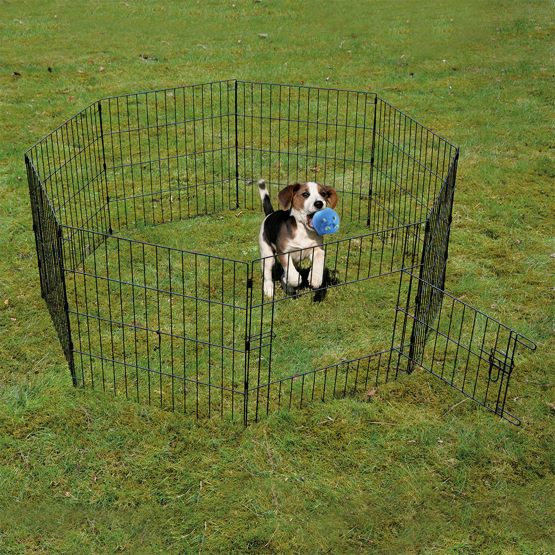 DuvoPlus Puppy Ren met Deur, Net & Haken 8 Panelen - 1 Deur