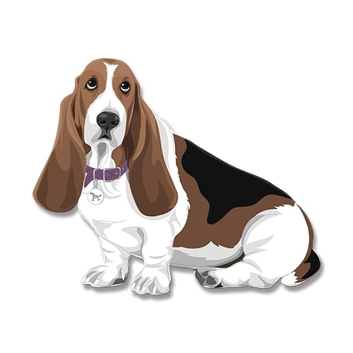 Dogdogo Buddy Magneet S Basset Hound