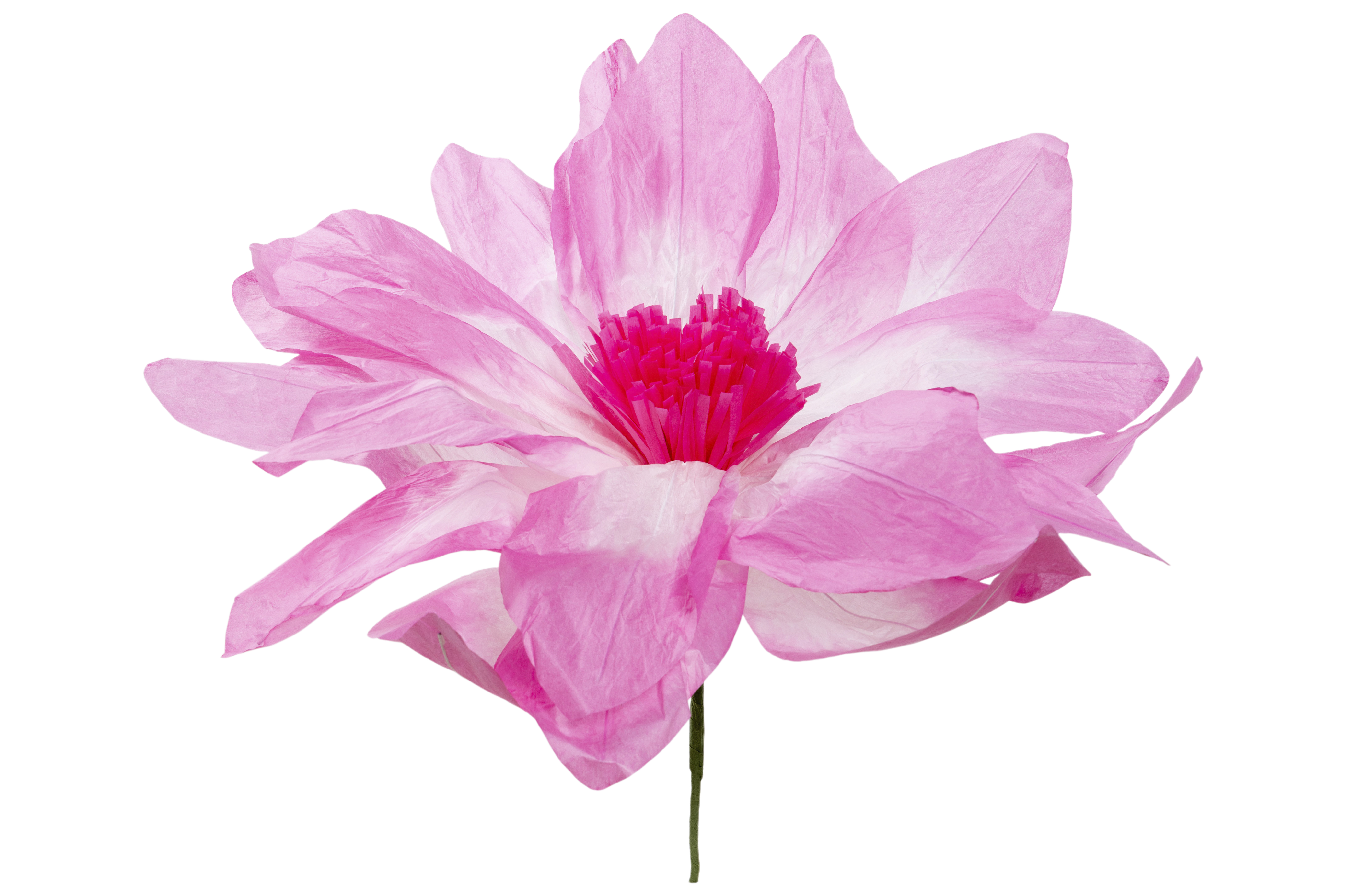 Cosy@Home Bloem Roze 50x40 cm - Papier