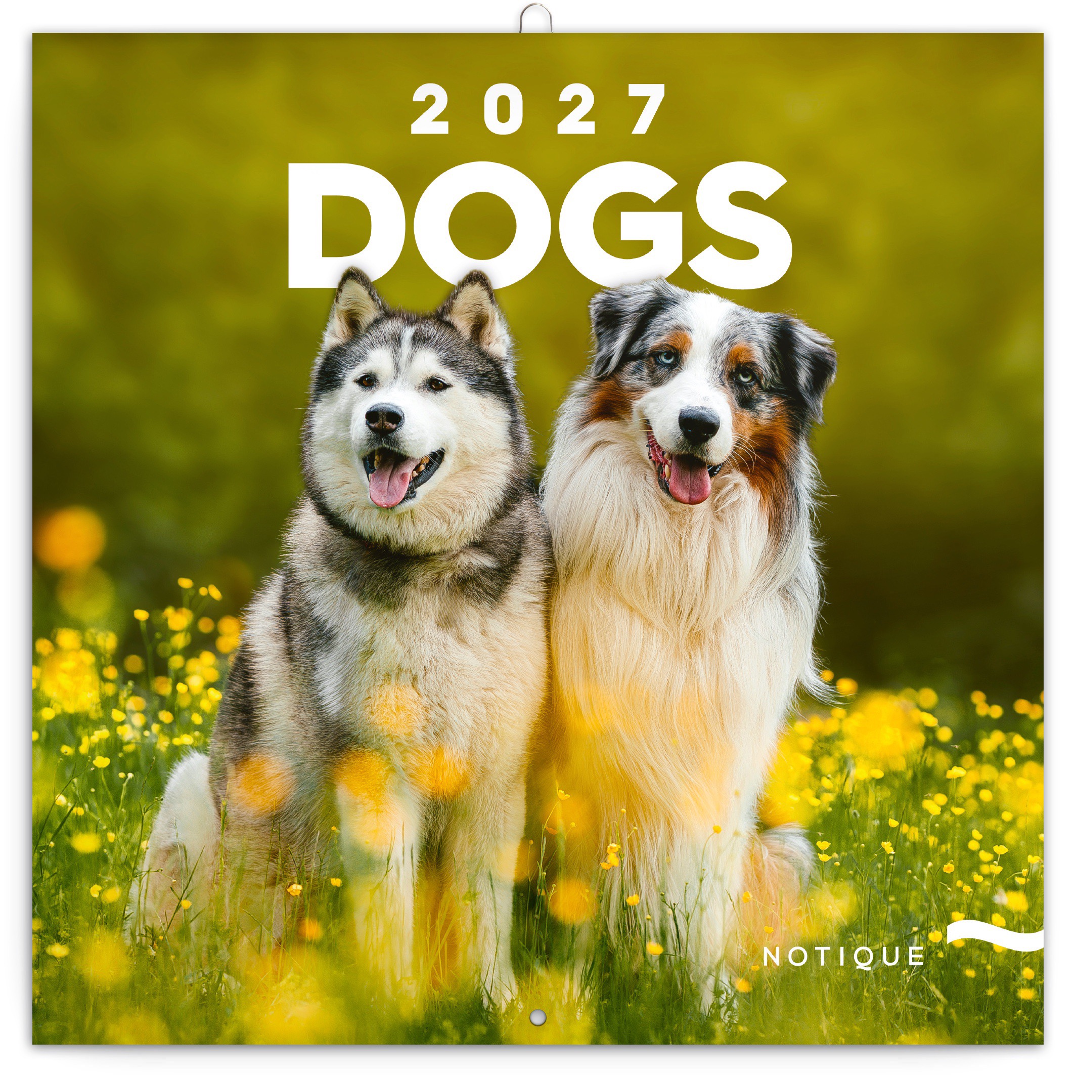 Kalender 2027 Dogs 30x30 cm