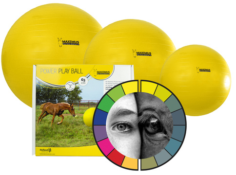 Maximus Power Play Ball 65 cm Speelbal voor Paarden