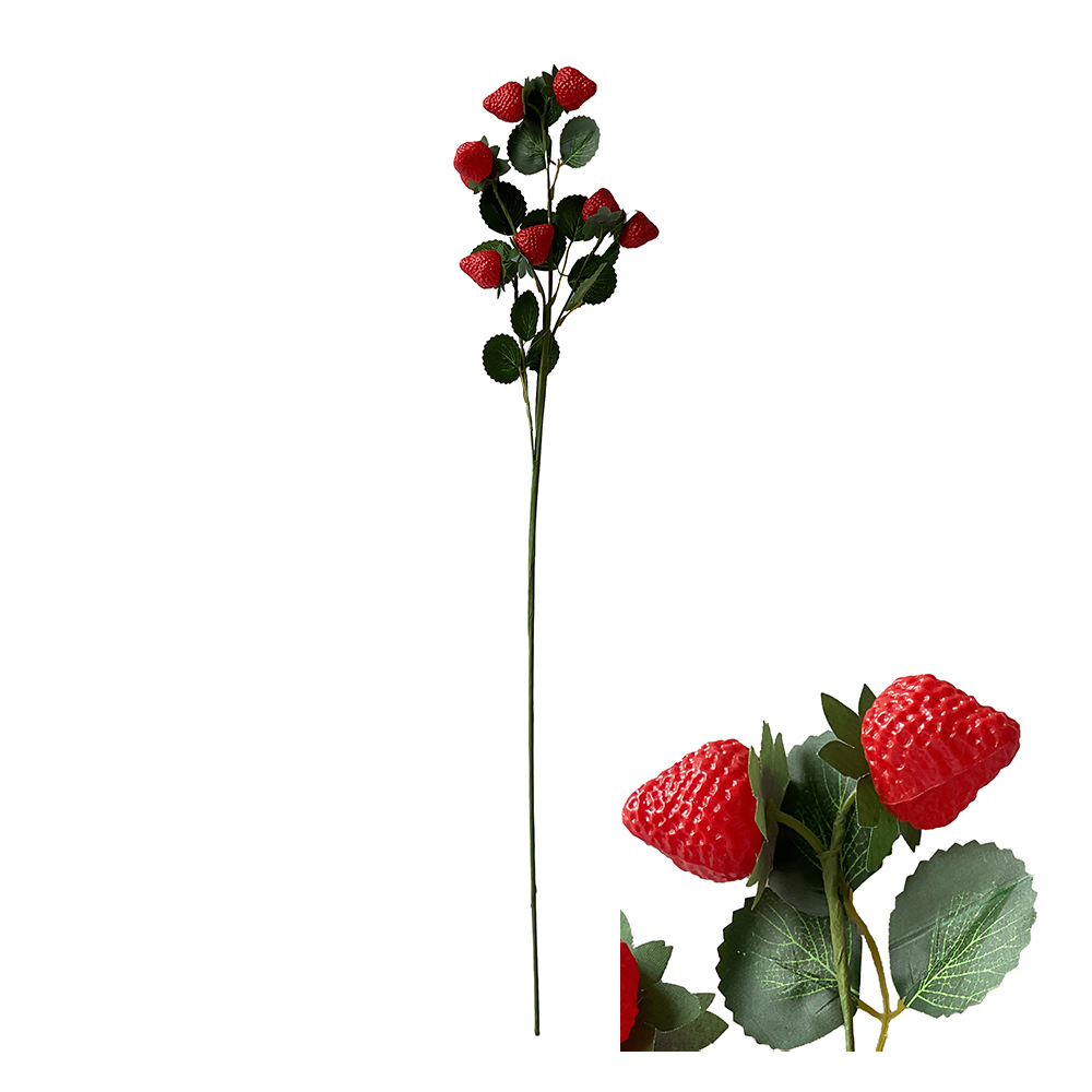 Aardbeientak Rood 69cm