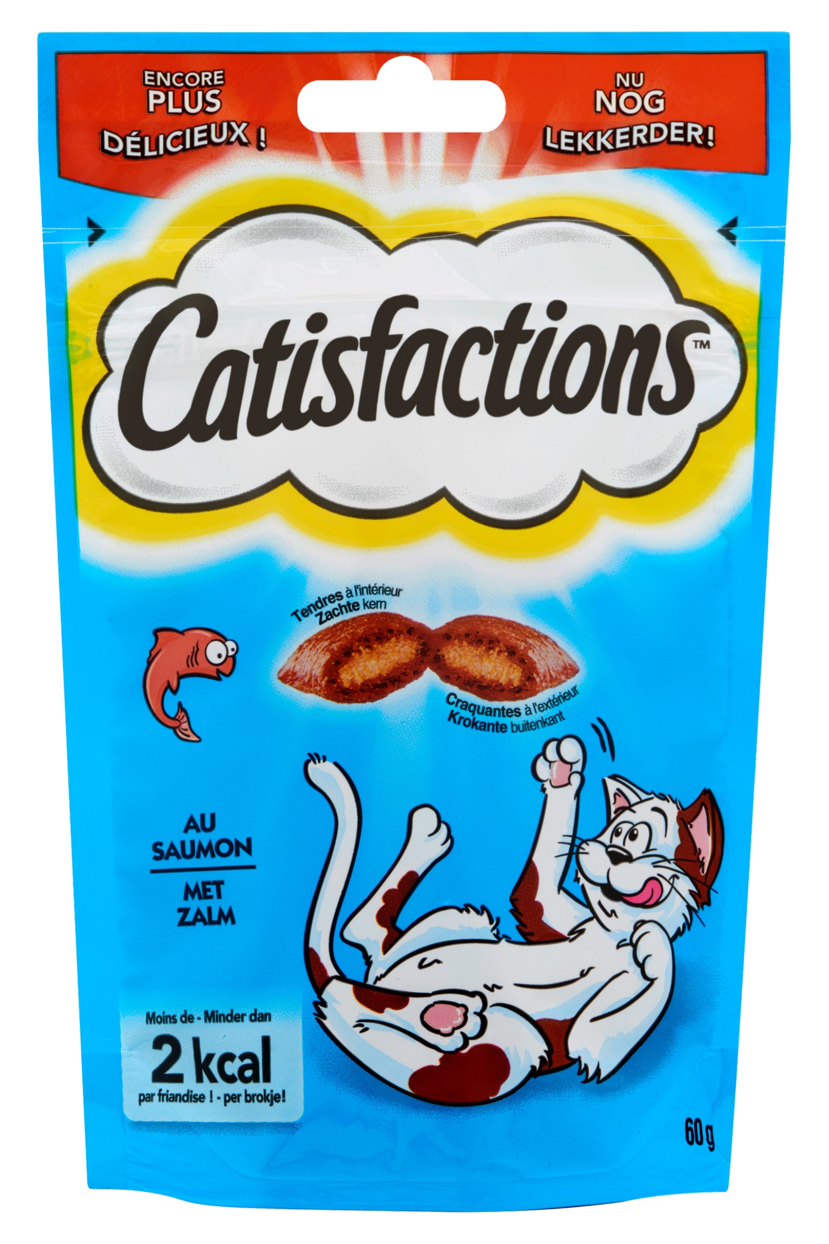 Catisfactions met Zalm 60 g