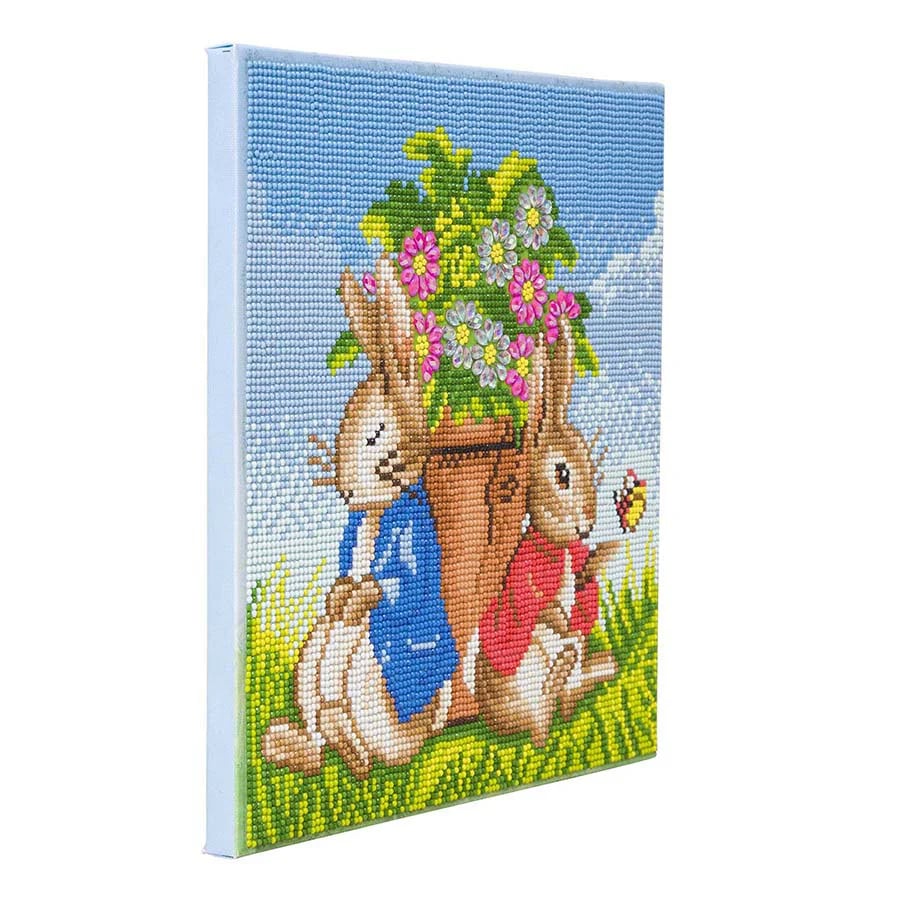 Crystal Art Framed Canvas Kit 30 x 30 cm - Peter Rabbit  