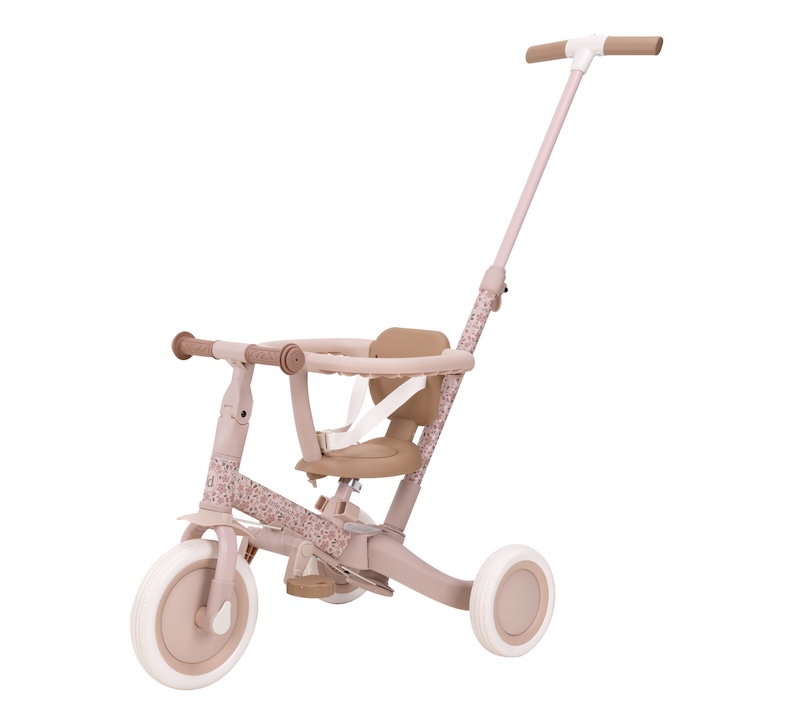Little Dutch Driewieler 4in1 Pink