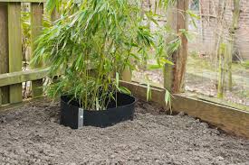 NATURE Anti-Wortelbescherming 70x500 cm 1000 g/m2- HDPE - oa tgn Bamboescheuten