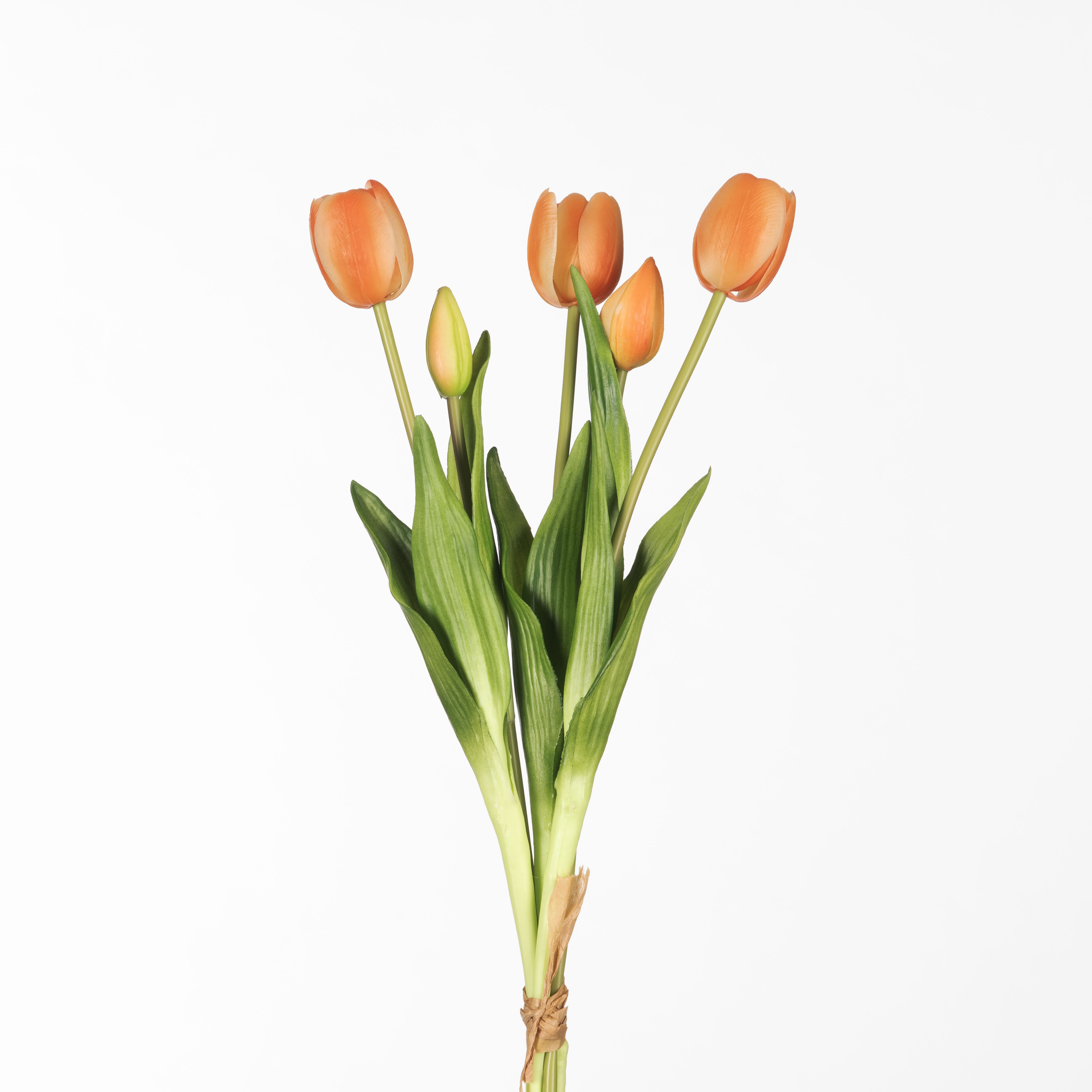 Bundel Tulpen Perzik 43cm 5 stuks