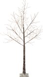 Boom Micro LED Bruin 100x180 cm - 600 Lights - Warm Wit - Outdoor