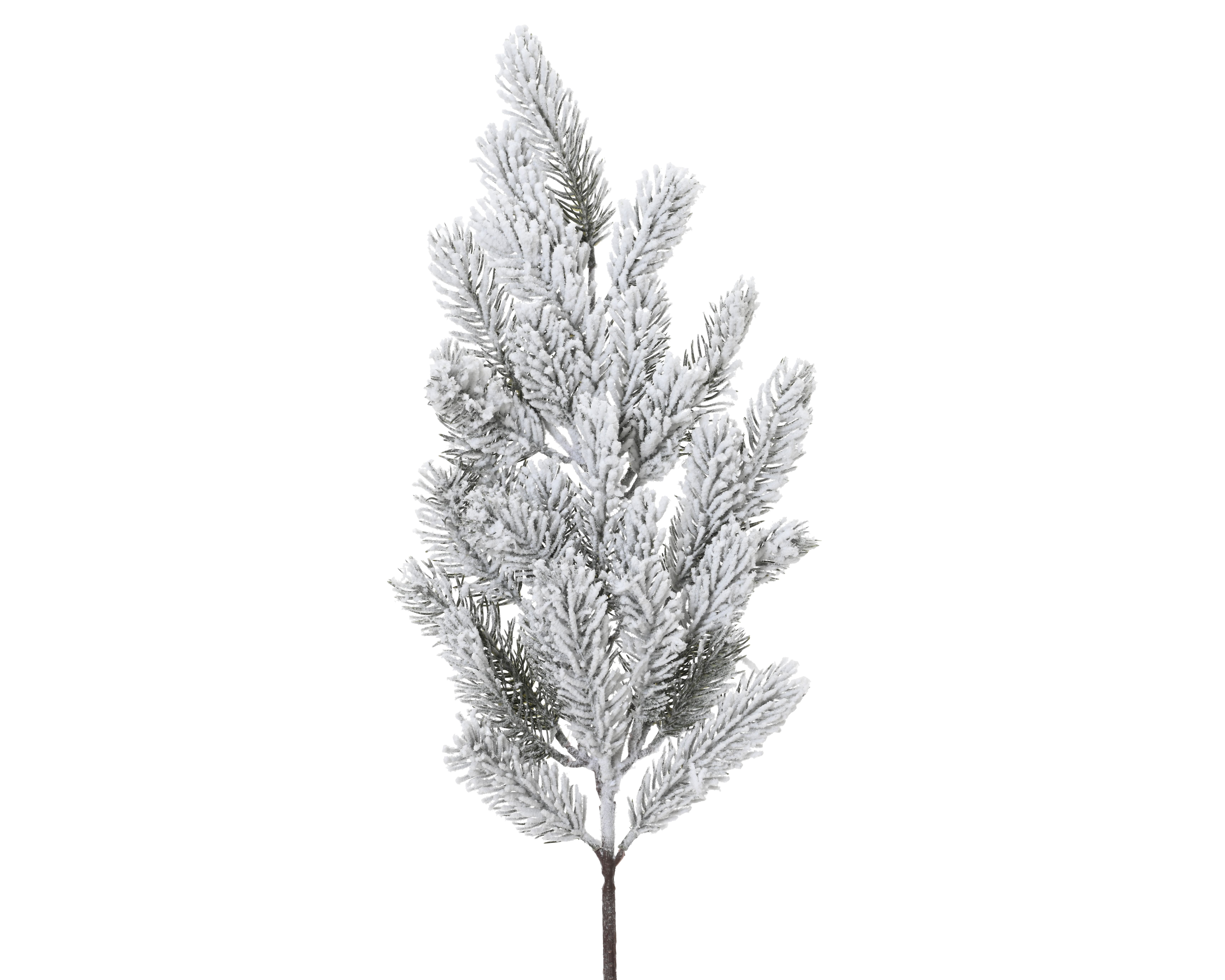 Dennentak Snowy 12x63 cm