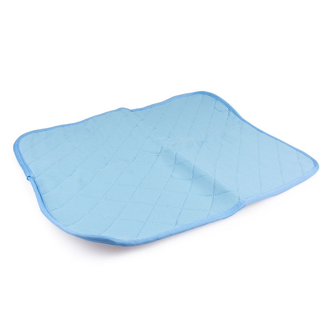 Eco Wasbare Trainigsmat Blauw 67 x 50 cm