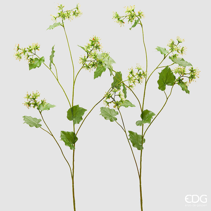 EDG Alchemilla Tak 108cm - assorti - prijs per stuk
