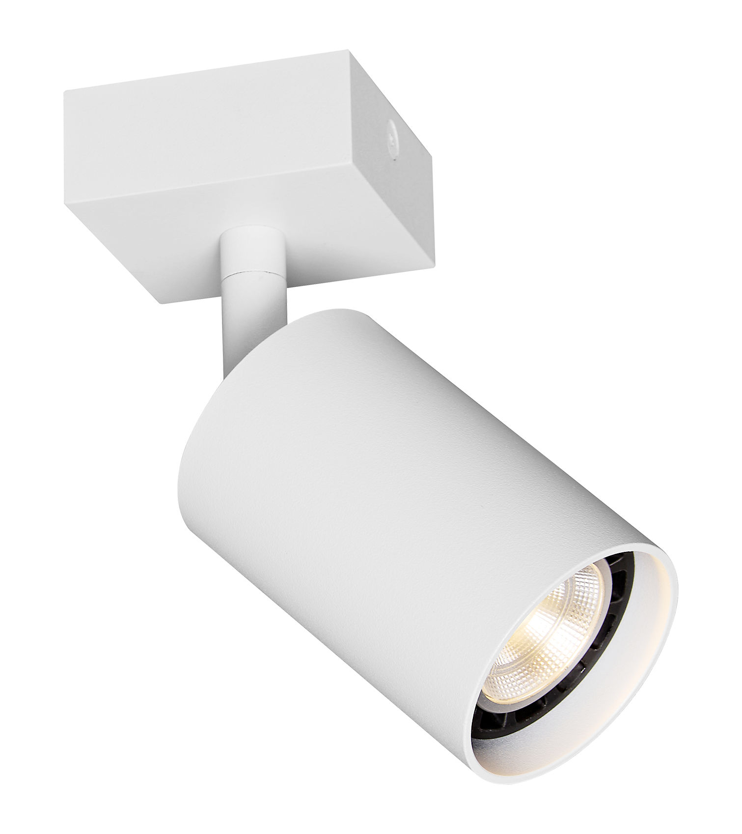 Fantasia Taboo Opbouwspot 1x GU10 Wit