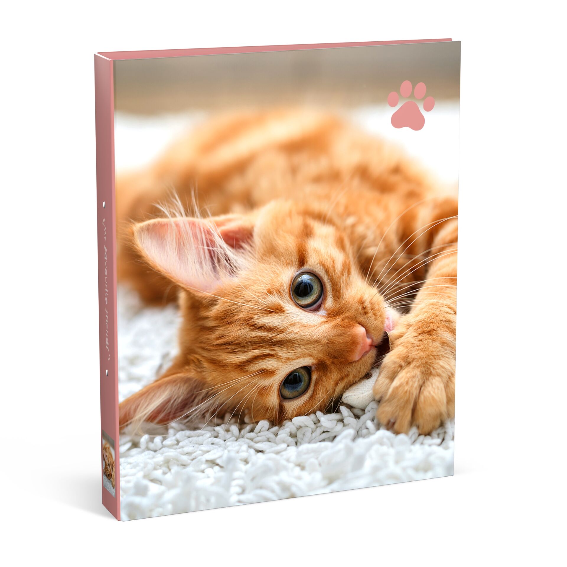 My Favourite Friends Ringmap A4 Rug 4.5cm Cat