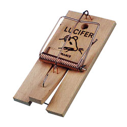 Lucifer Rattenval Houten Sokkel 9x17 cm
