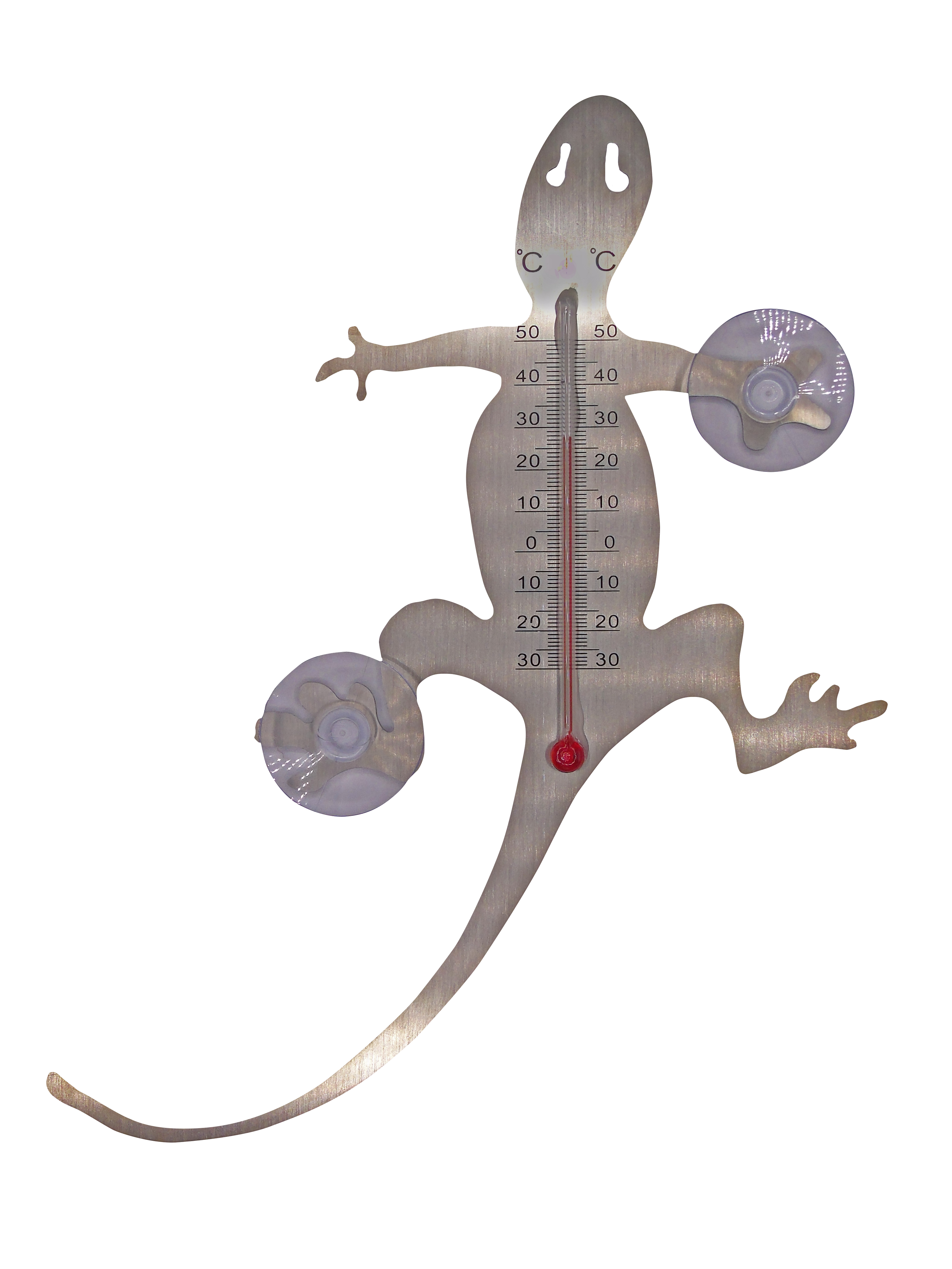 NATURE Buitenmuurthermometer Salamander Metaal met Zuignappen