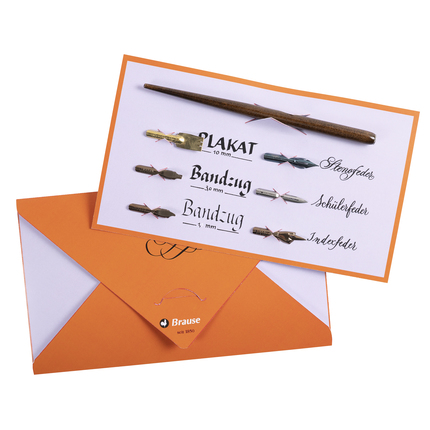 Brause Set Pennenhouder met 6 Pennen Kalligrafie - Houten Houder