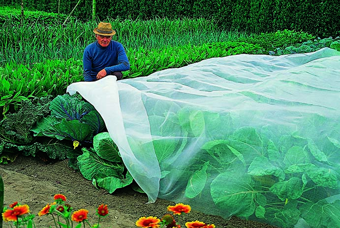 Insectennet 2x5 m Maas 0.27x0.77 mm