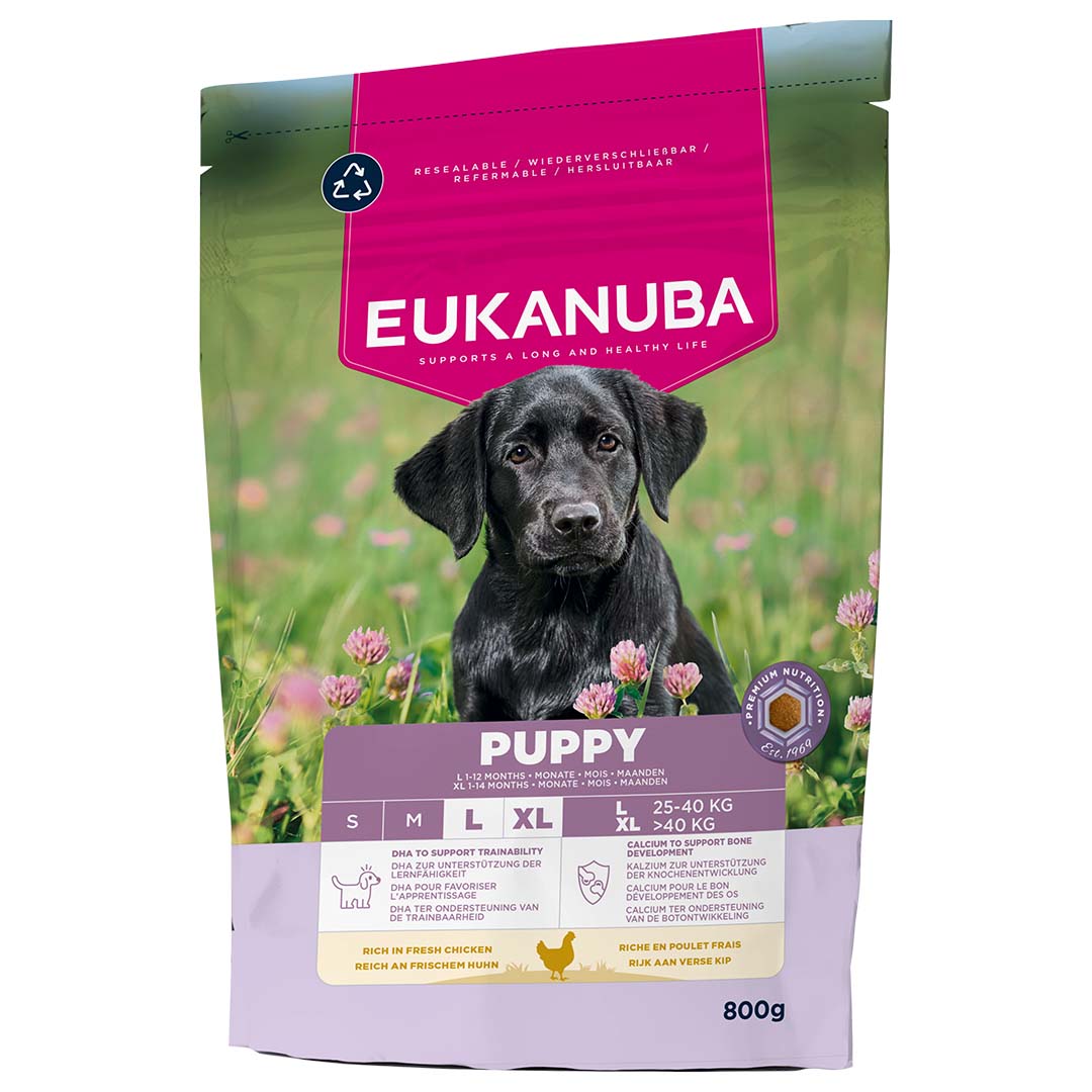 Eukanuba Hondenvoer Puppy Large Kip 800 g