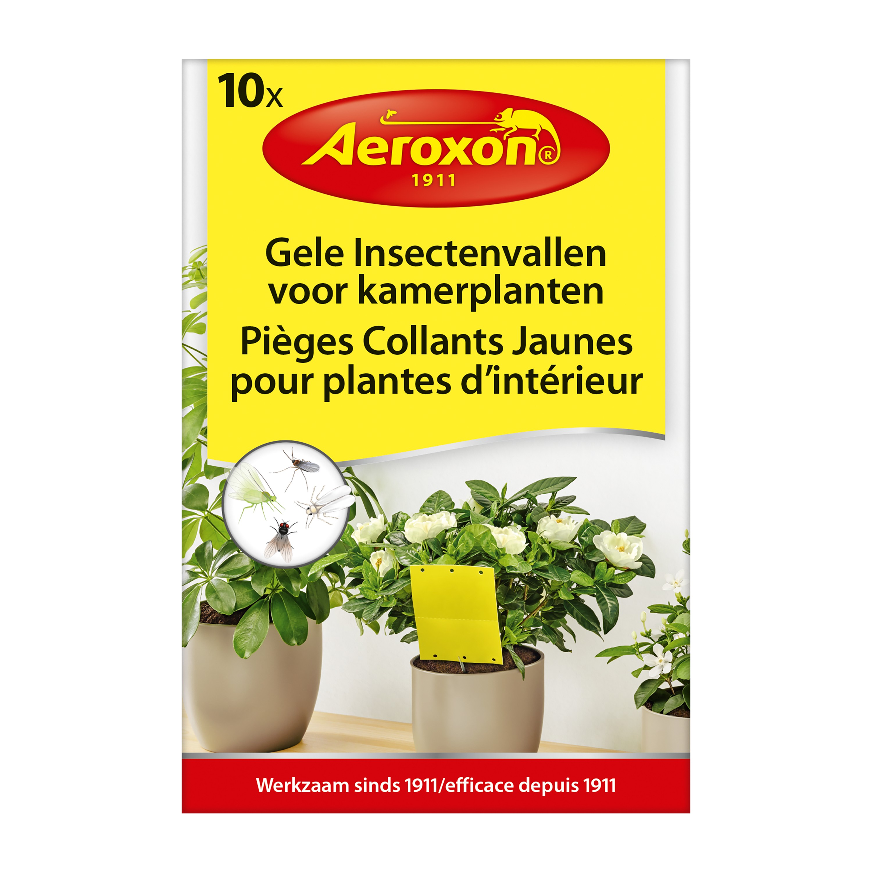 Aeroxon Gele Insectenvallen 10 Stuks voor Kamerplanten