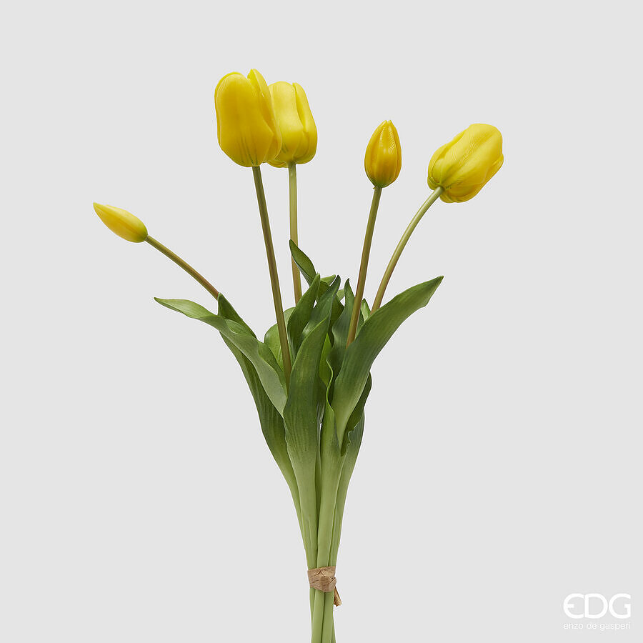 EDG Bundel Tulpen Geel 48cm - 5 Bloemen