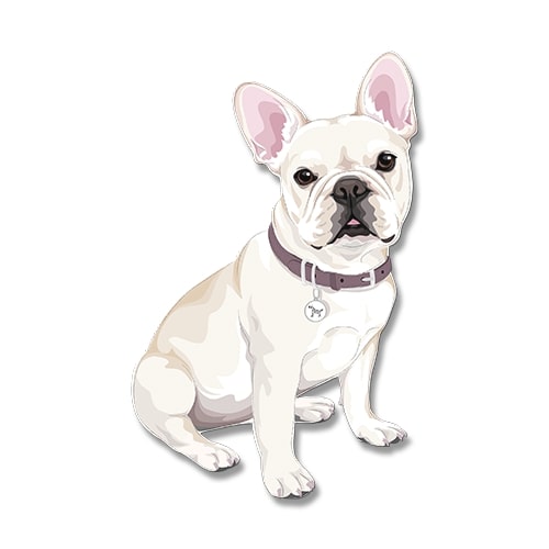 Dogdogo Buddy Magneet S French Bulldog - Creme